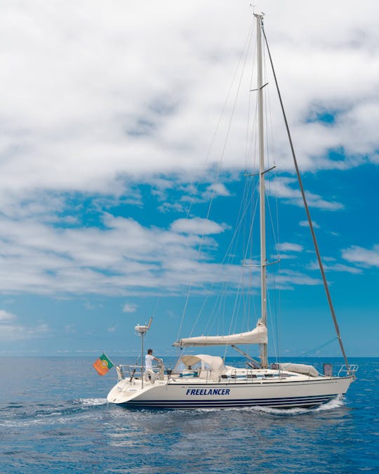 Madeira half-day sailing trip with open bar