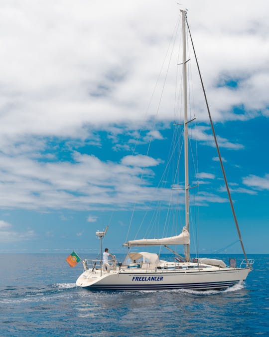 Madeira half-day sailing trip with open bar