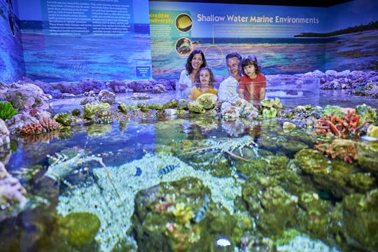 Geführte Tour in der Dämmerung durch das Cairns Aquarium mit Drei-Gänge-Menü