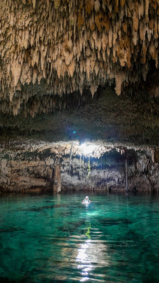 Cenotes Zapote Prehistoric Park Seilrutsche und Cenoten-Tour