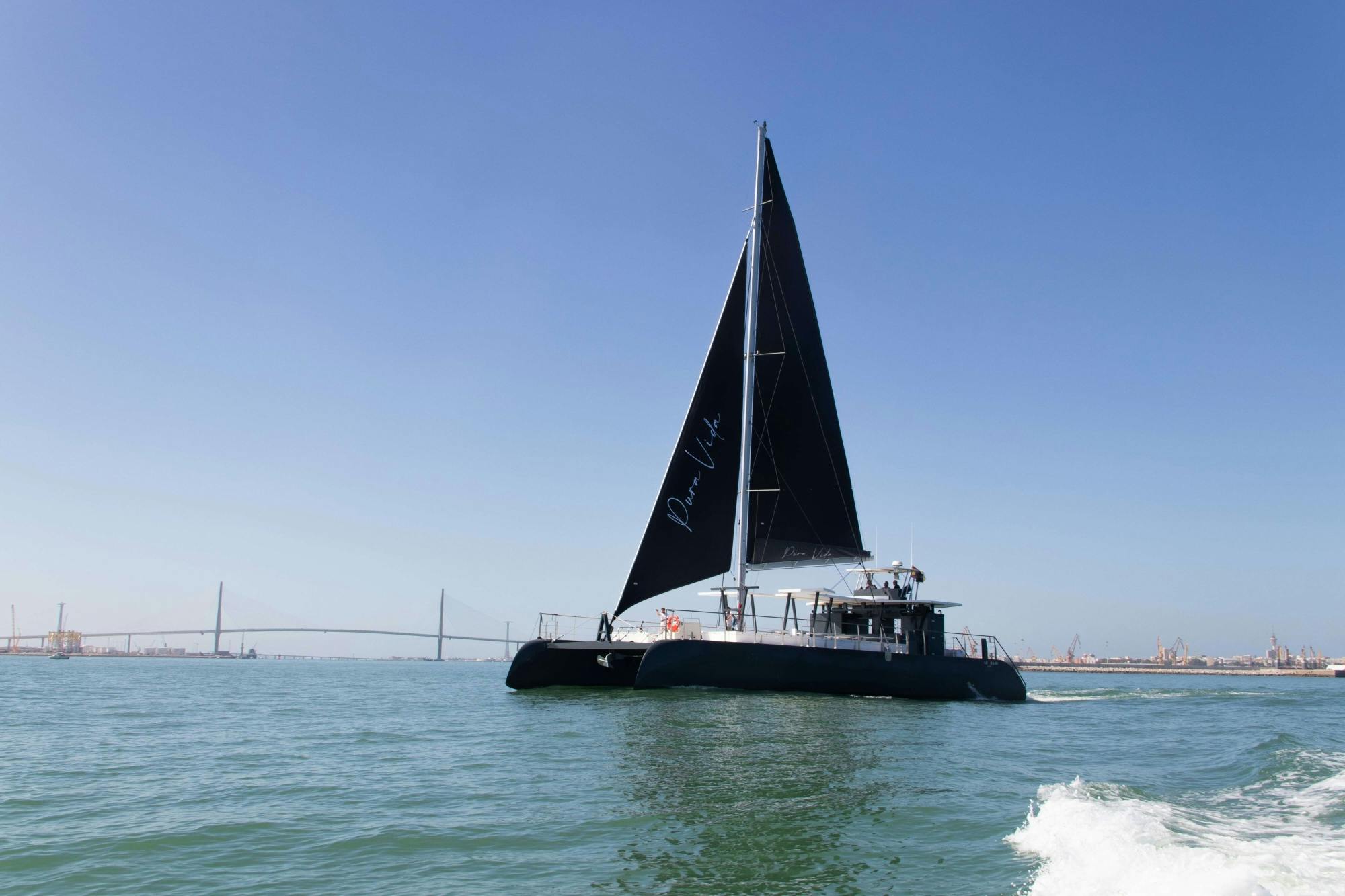 Half-day guided tour of Cadiz with catamaran cruise
