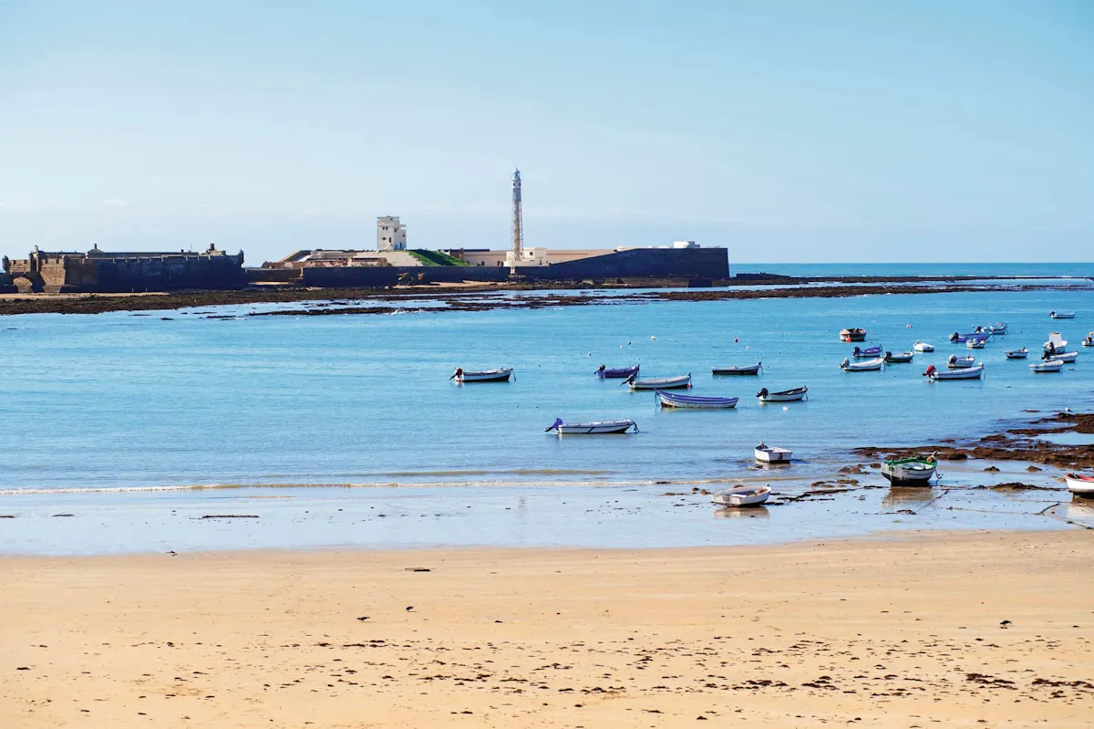 Half-day guided tour of Cadiz with catamaran cruise