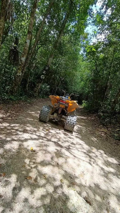 Cenotes Zapote Prehistoric Park with ATV adventure in Mexico