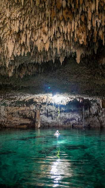 Nature in Cancun