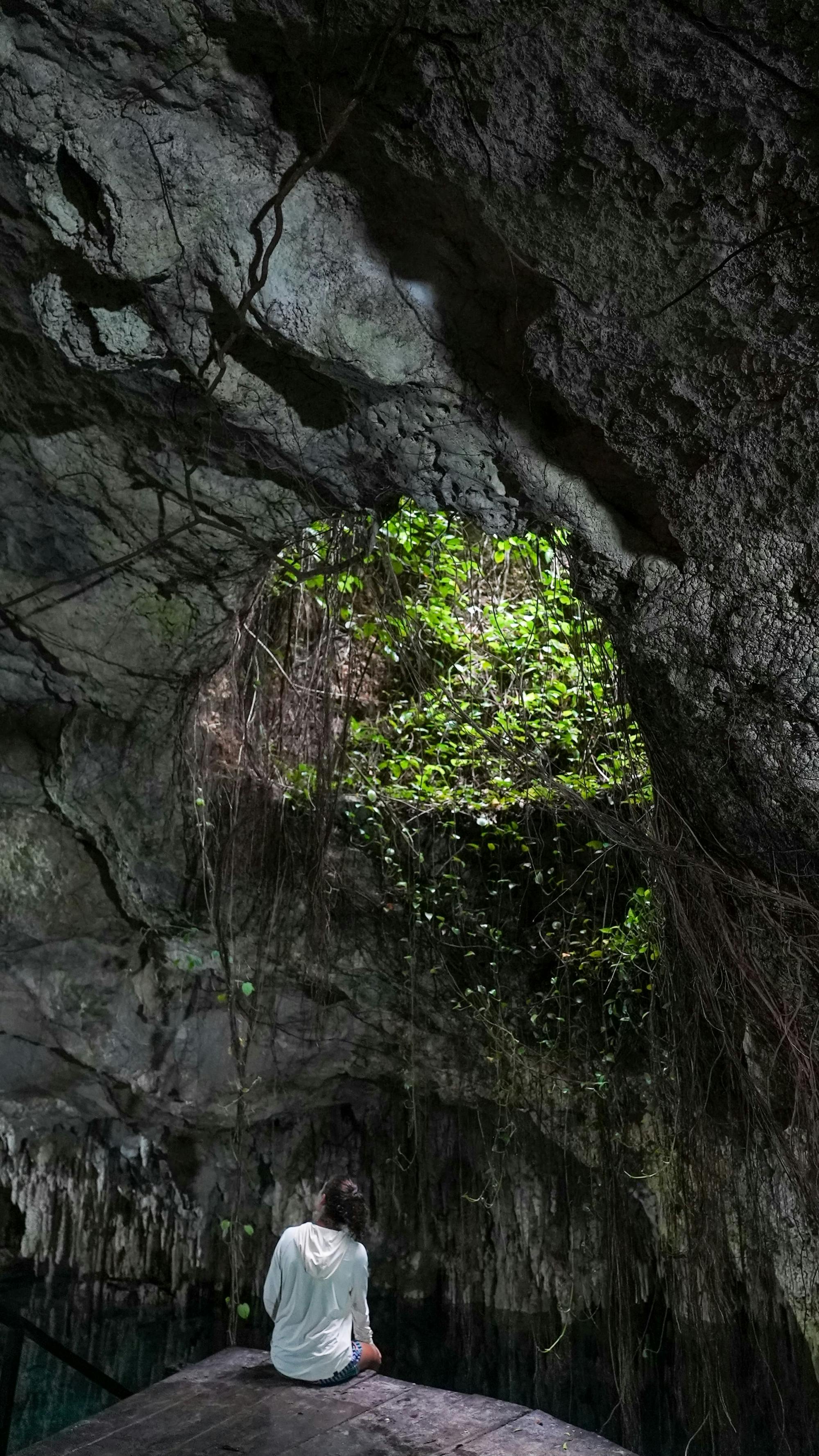 Cenotes Zapote Prehistoric Park zip-lining and cenote tour