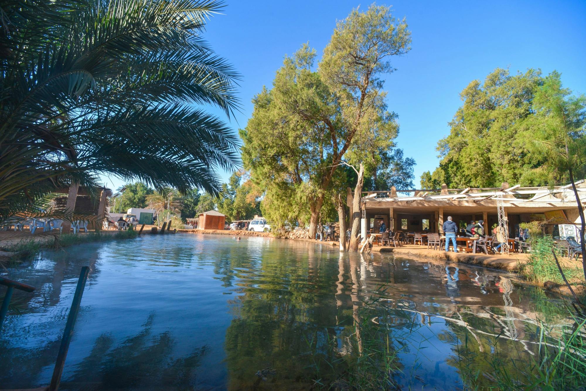Ksar Ghilane Sahara Oasis Tour