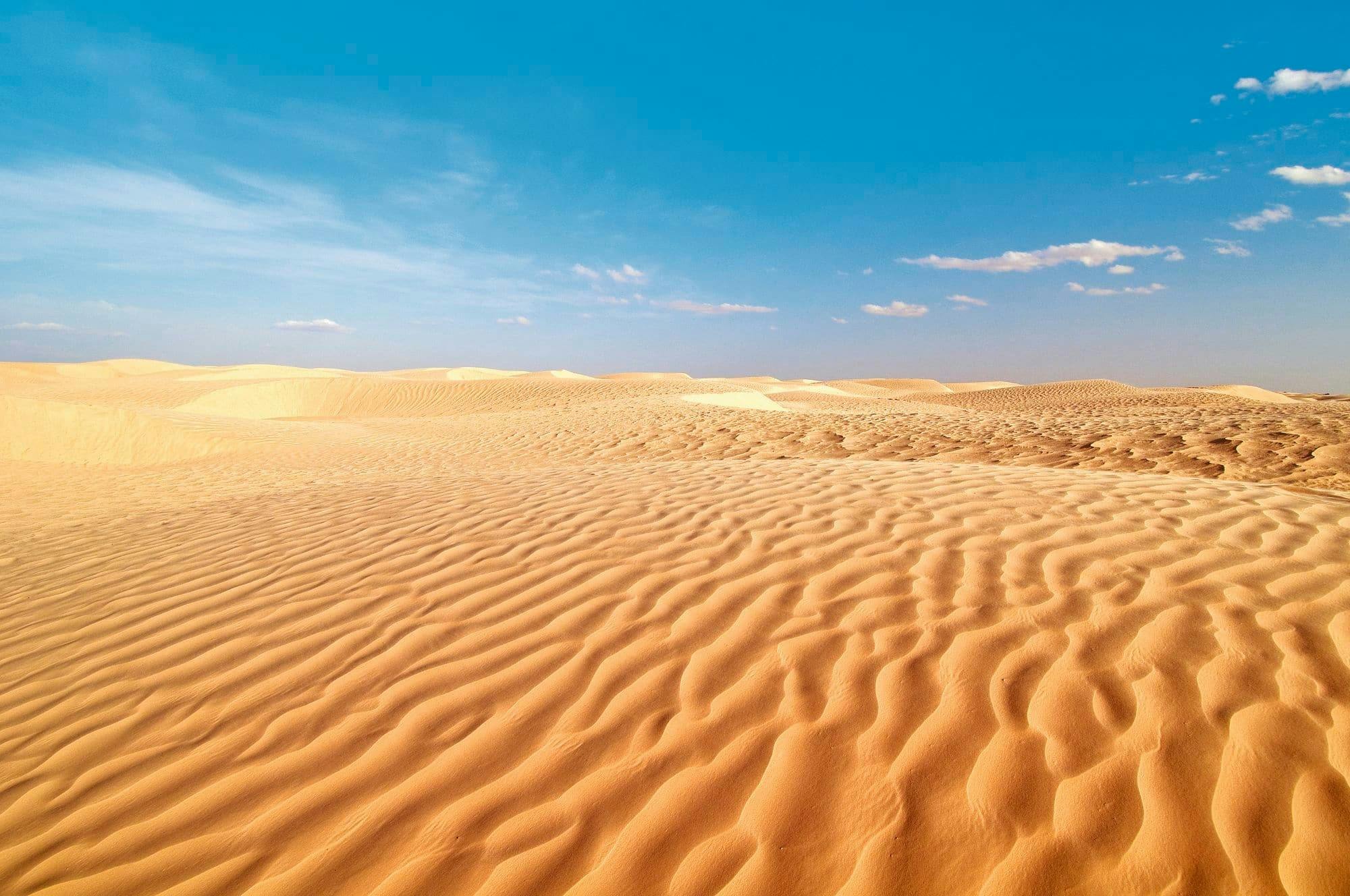 Tunisian Sahara 4x4 tour with Star Wars Village and local lunch