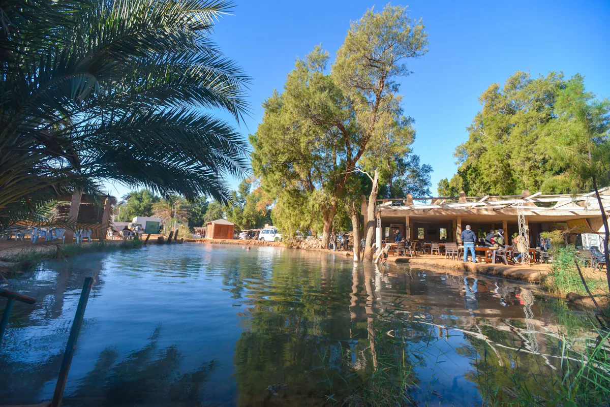 Ksar Ghilane Sahara Oasis Tour