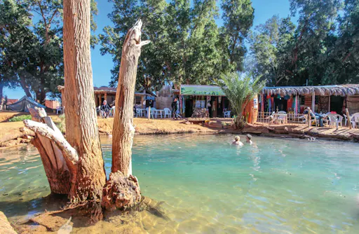 Ksar Ghilane Sahara Oasis Tour