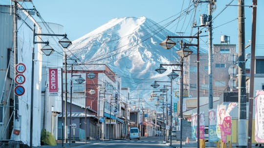 Guided day-tour to the highlights of Mount Fuji region