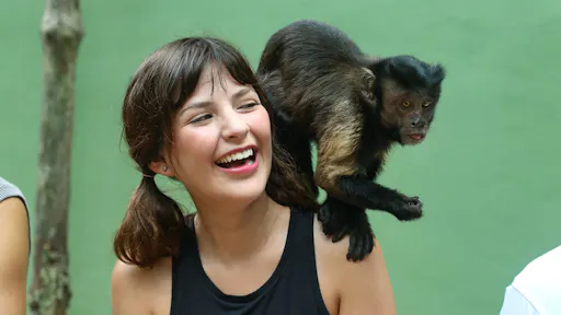 Akumal Monkey Sanctuary with ATV tour and snorkelling