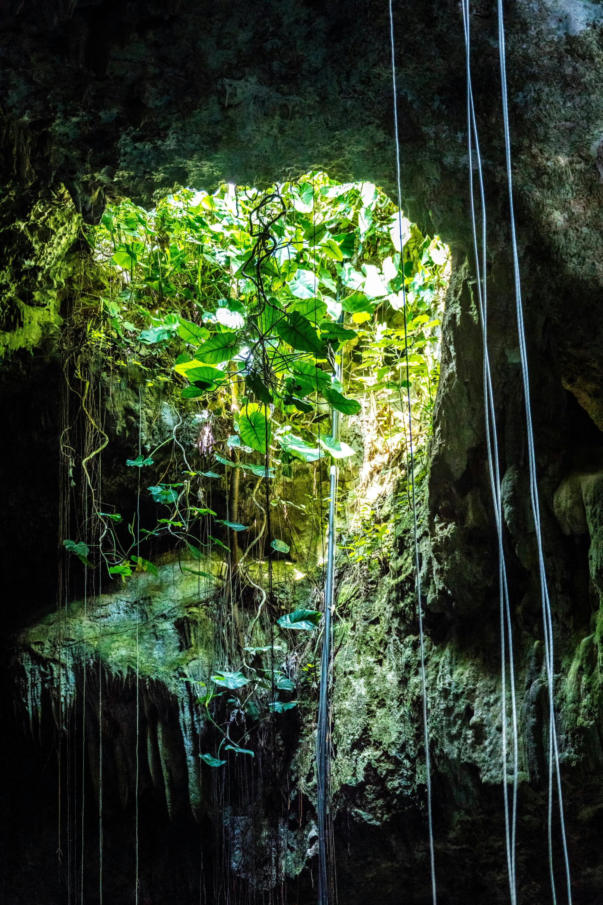 Tour of Chichen Itza’s Maya ruins and Cenote Tsukán with Lunch