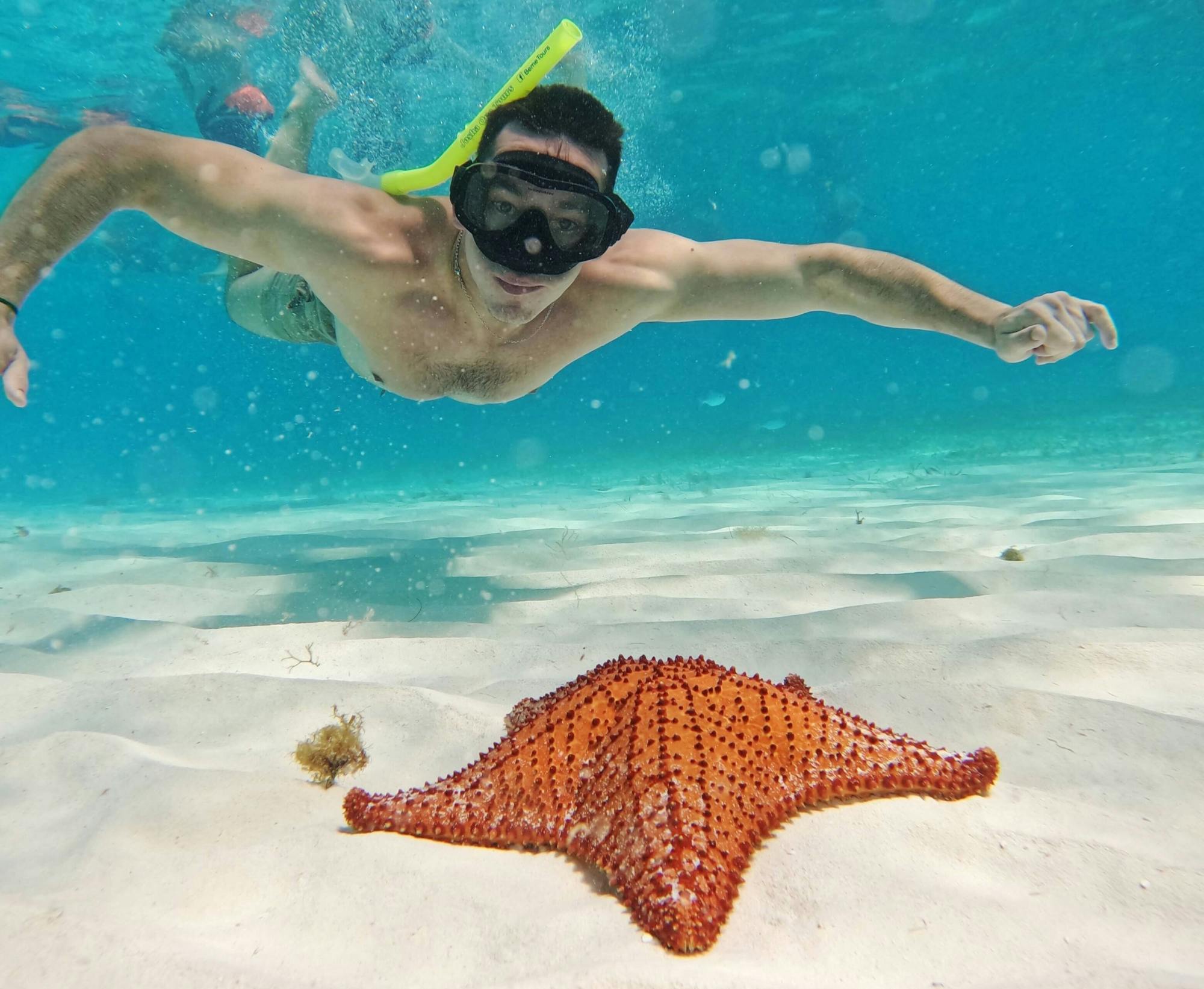 Cozumel guided snorkelling and island tour from Cancun