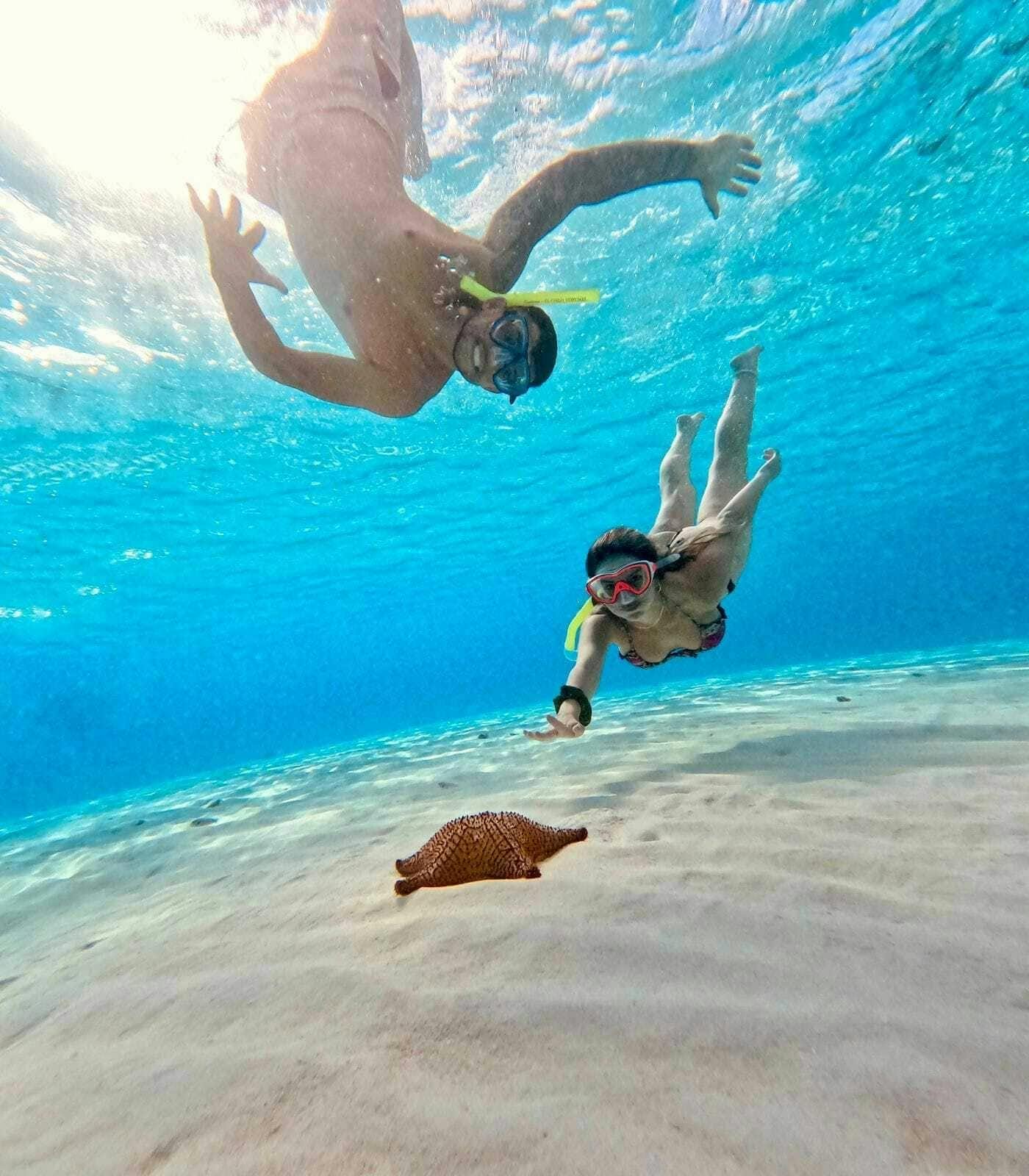 Cozumel guided snorkelling and island tour from Cancun