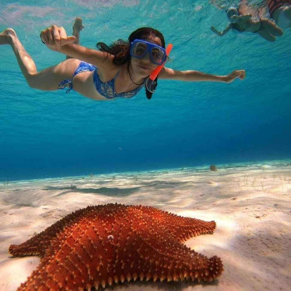Cozumel guided snorkelling and island tour from Cancun