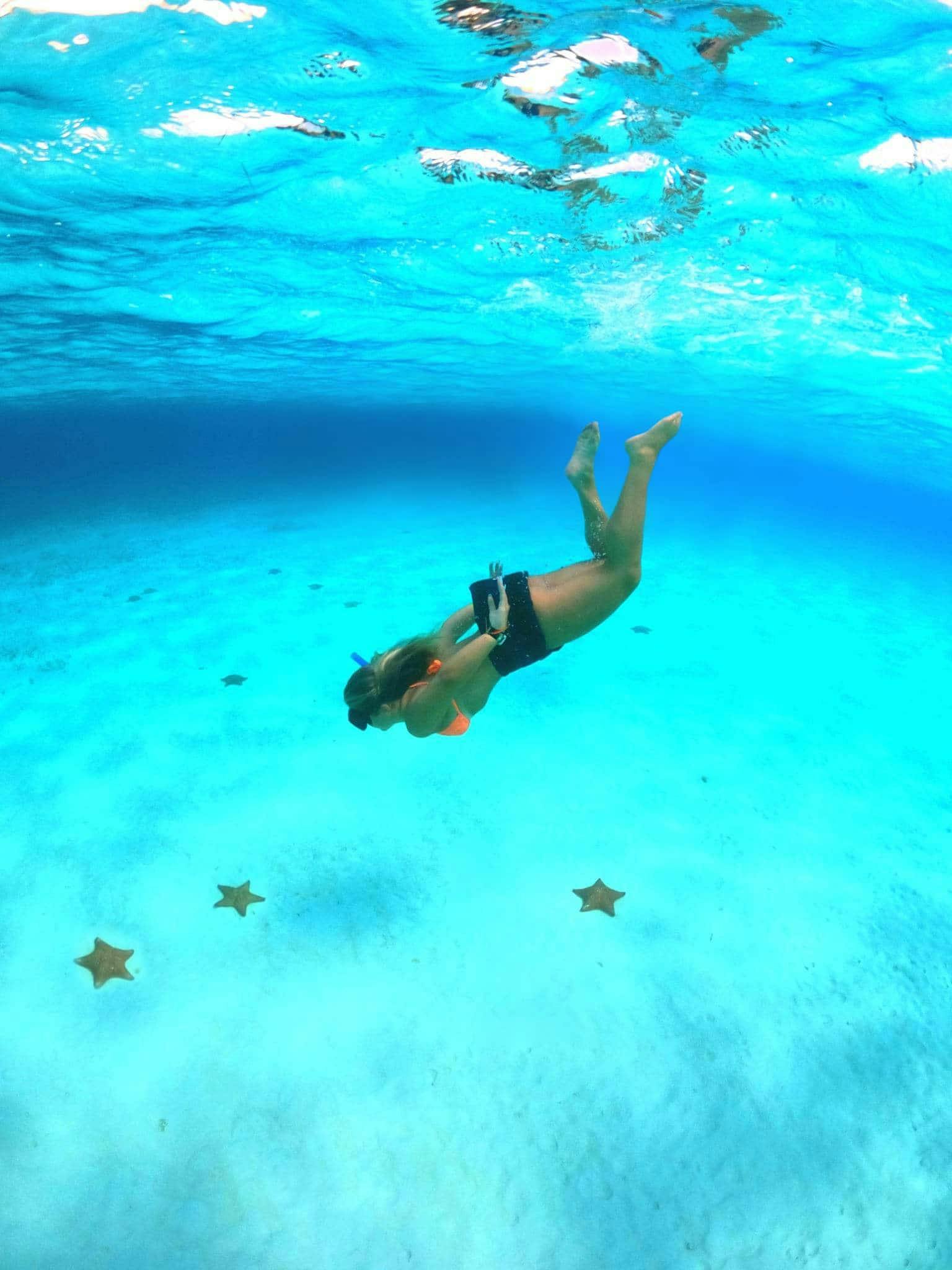 Cozumel guided snorkelling and island tour from Cancun