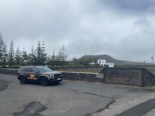 Half-day guided volcano and wine tour in southern Lanzarote