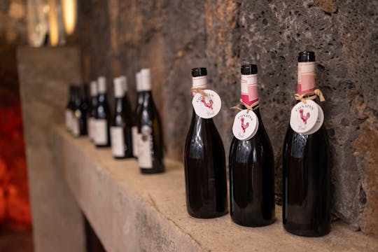 Adults wine-tasting tour of Conatvs Winery in Fuerteventura