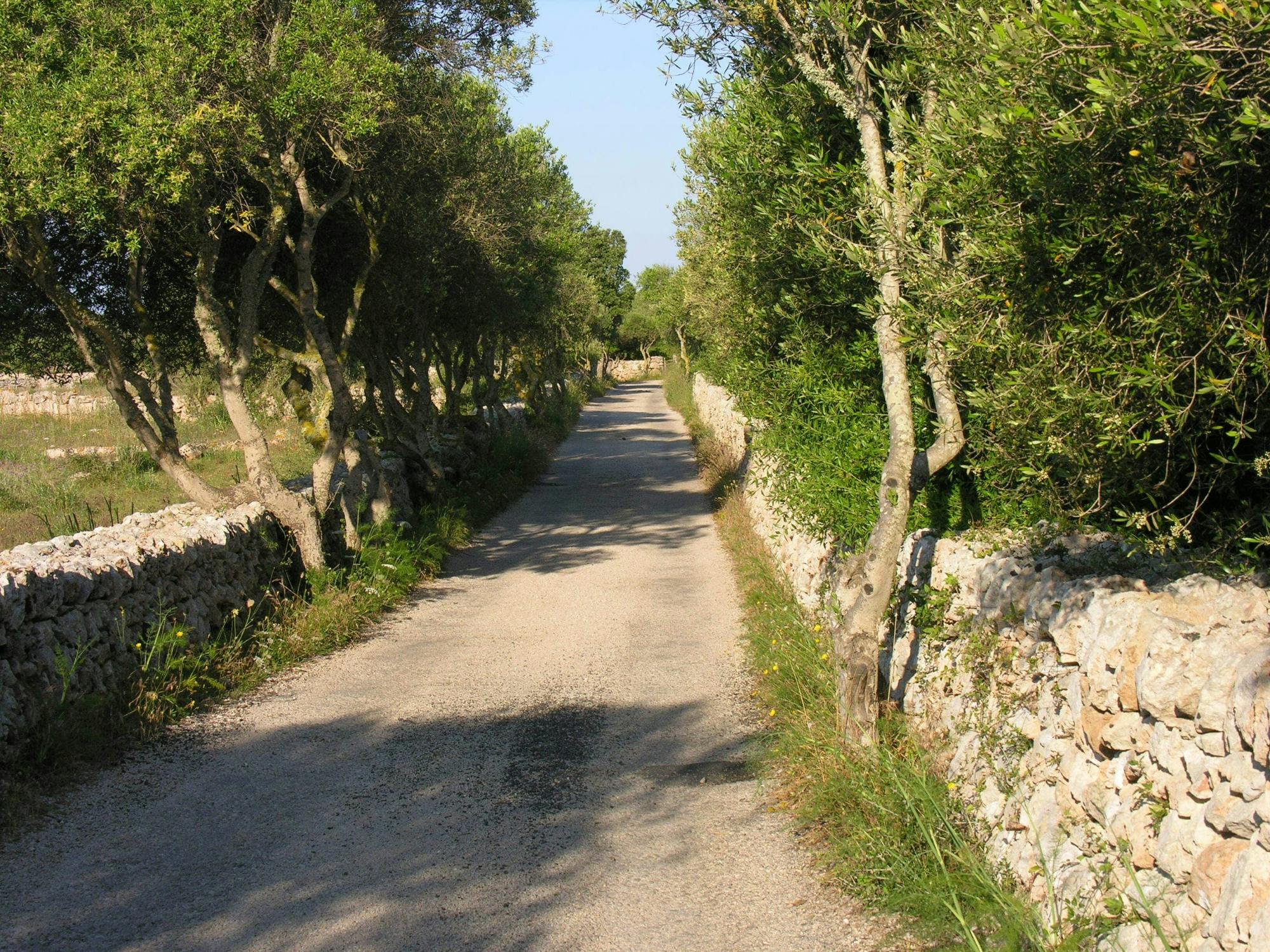 Menorca's fishing villages E-bike tour