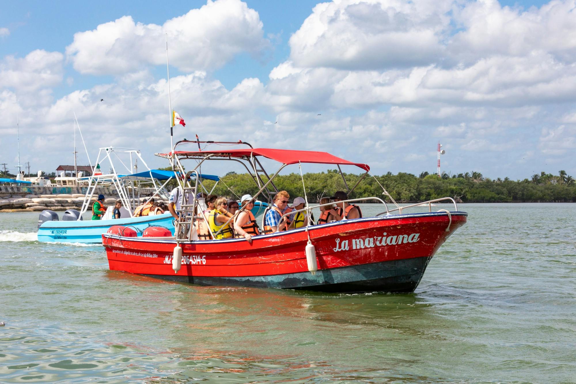 Full-day boat and golf buggy tour of Holbox Island from Chiquila