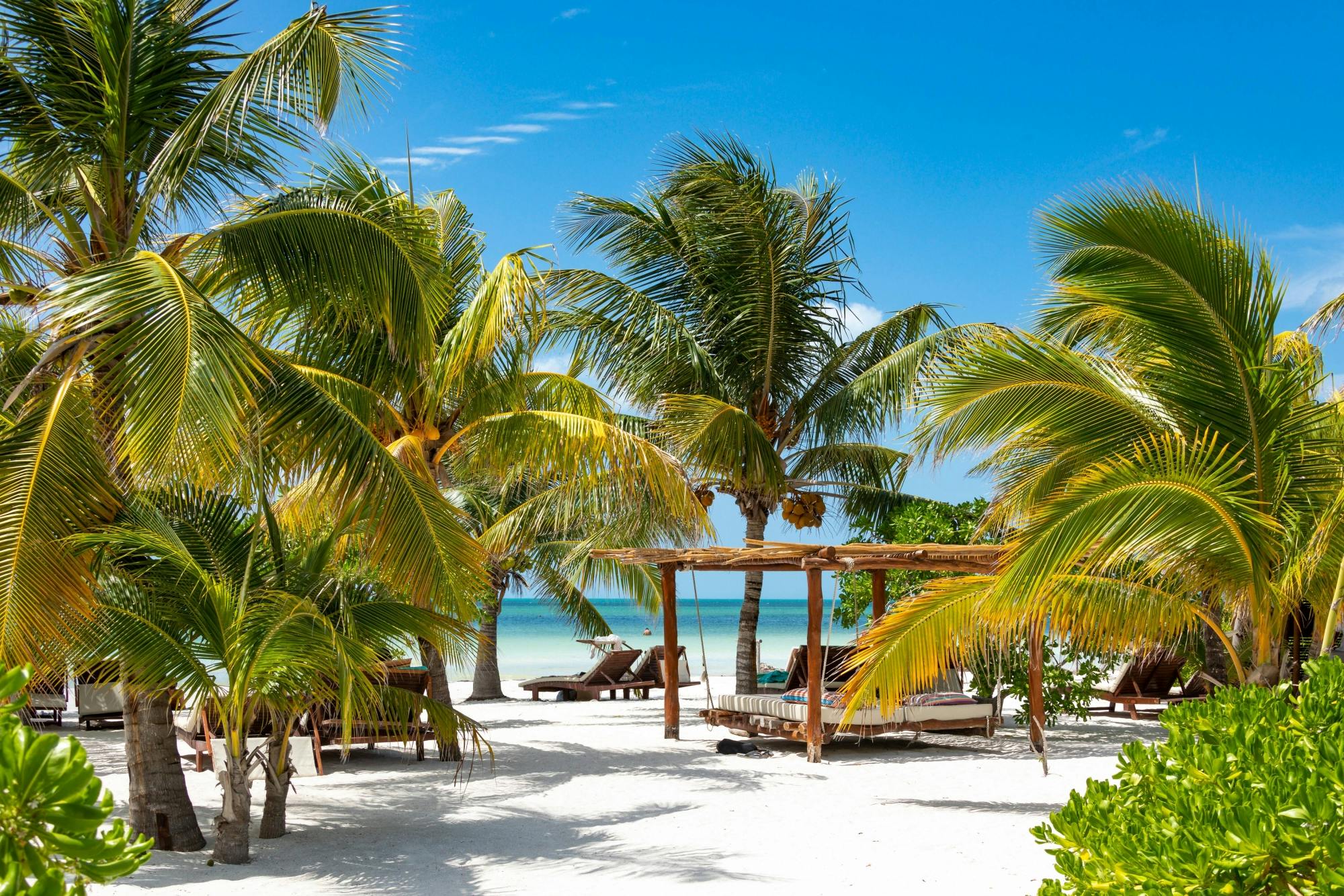 Full-day boat and golf buggy tour of Holbox Island from Chiquila