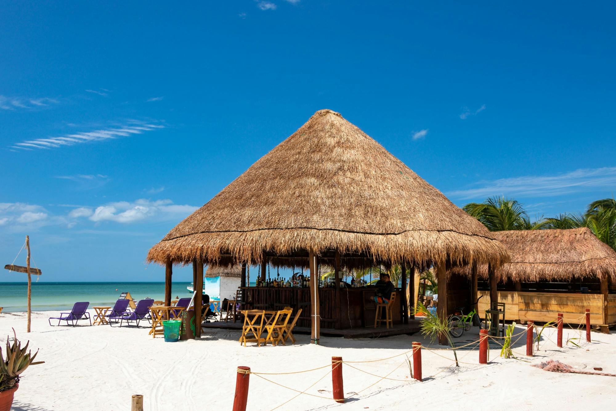 Full-day boat and golf buggy tour of Holbox Island from Chiquila