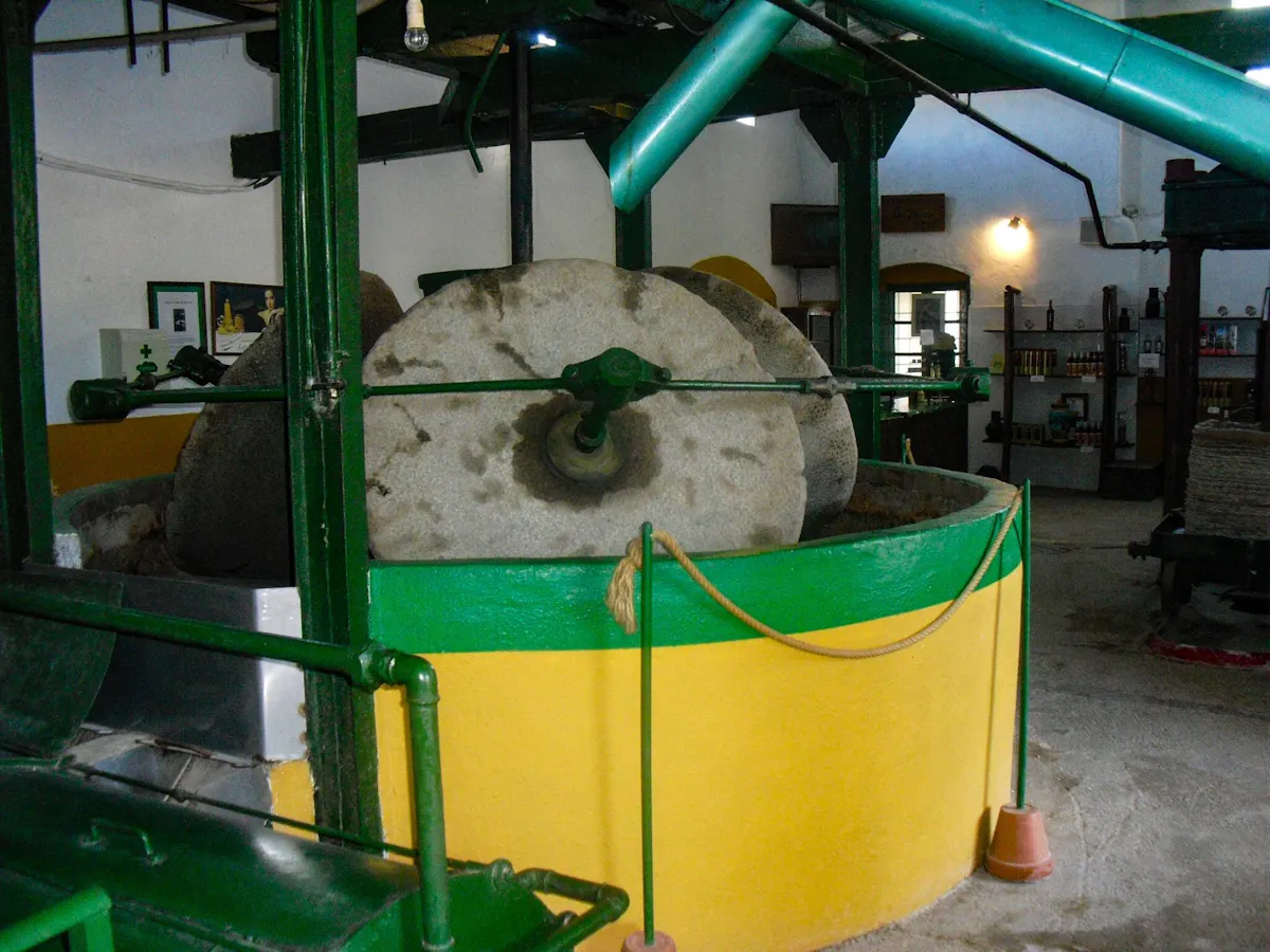 Nat Geo Day Tour: Andalusian Olive Oil, from Grove to Table