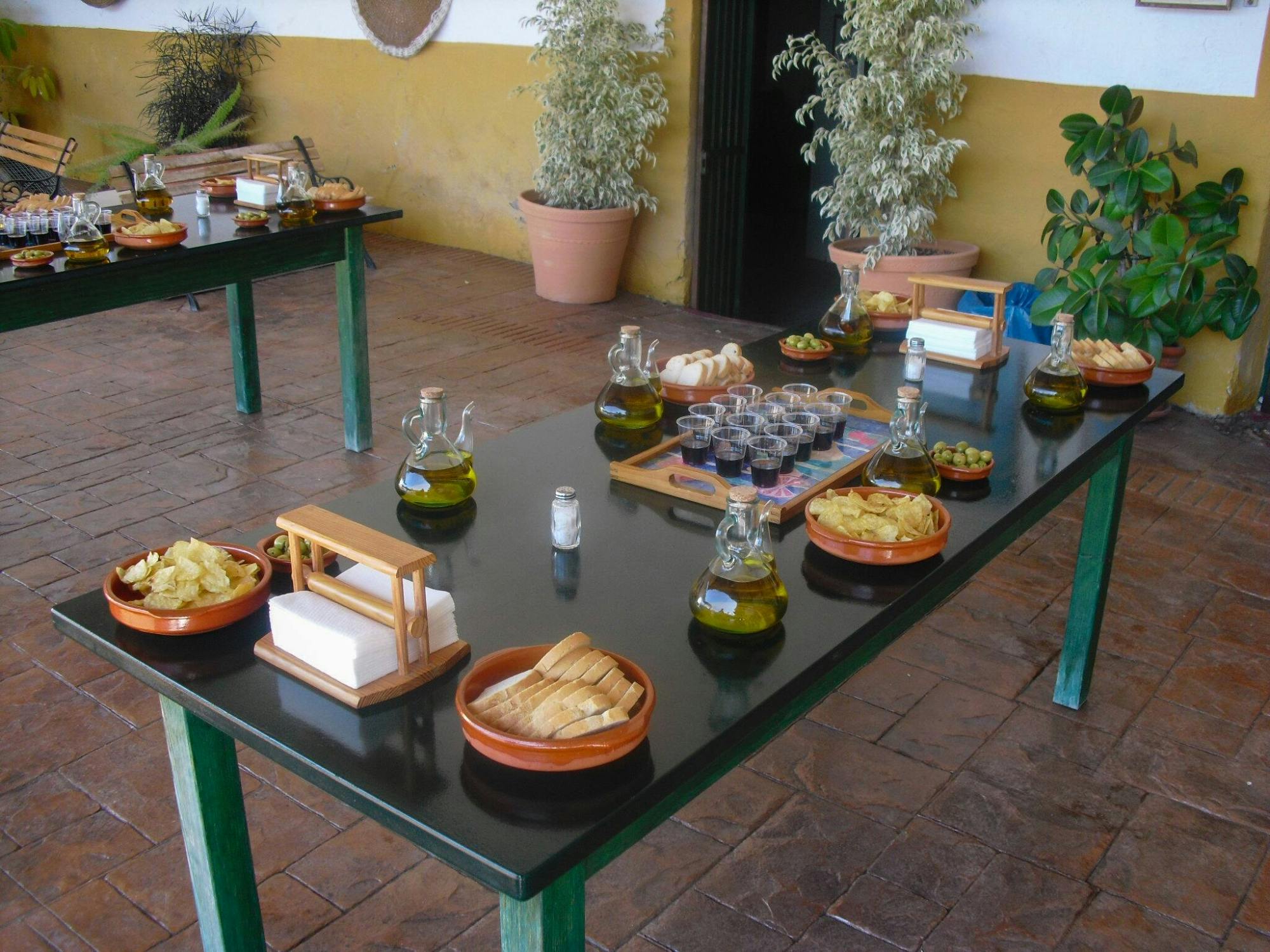 Nat Geo Day Tour: Andalusian Olive Oil, from Grove to Table