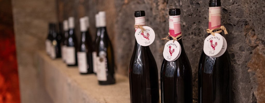 Adults wine-tasting tour of Conatvs Winery in Fuerteventura