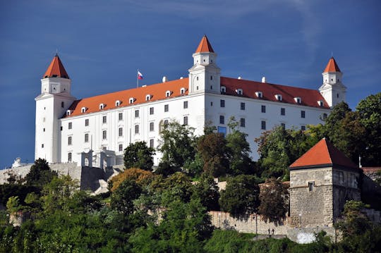 Castle Devin cruise, half day tour