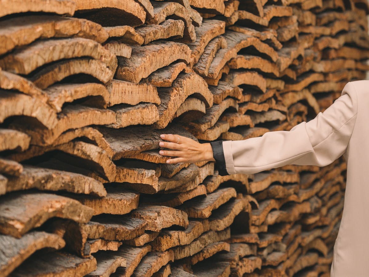 Biglietti per il Museo Cork presso WOW Porto