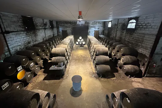 Winery tour and wine tasting in Chiclana de la Frontera in Cádiz