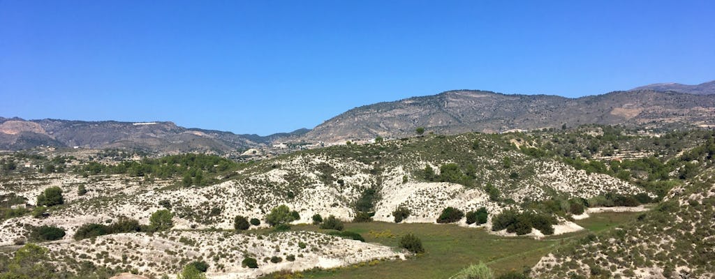 Easy Guided Walks