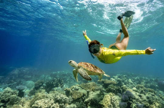 Half-day ocean safari Great Barrier Reef adventure