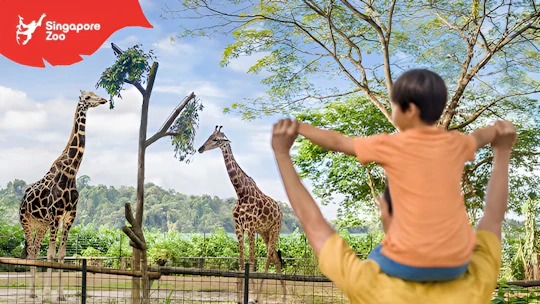 Singapore Zoo Entrance Ticket Including Tram