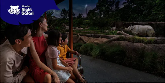 Entrada al parque Safari Nocturno de Singapur, incluido el viaje en tranvía