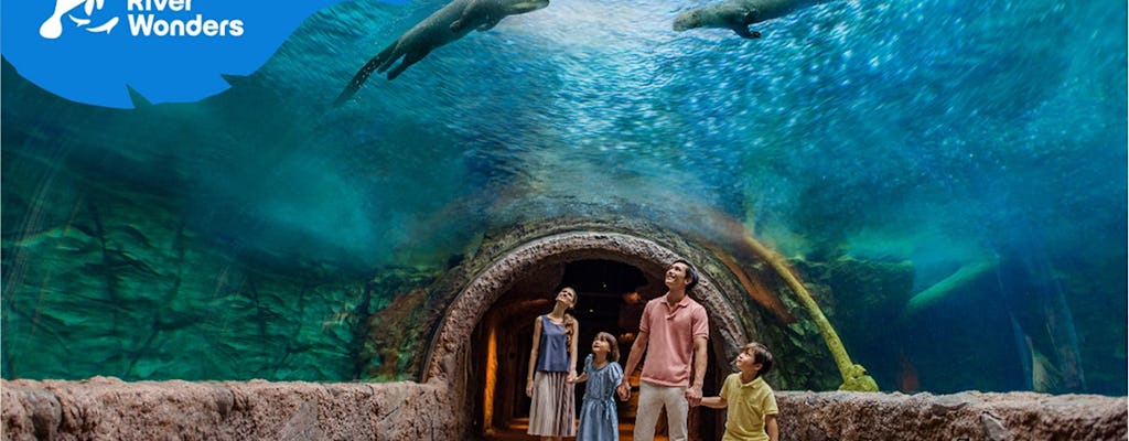 Singapore River Wonders admission ticket