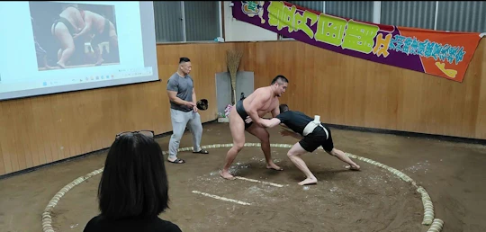 Interactive sumo wrestling experience with meal in Tokyo
