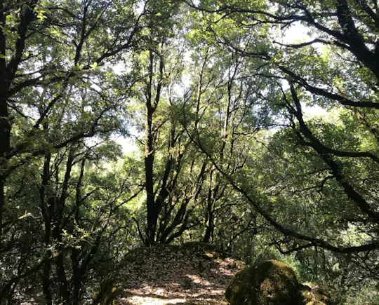 Excursión guiada en grupo privado por Pantelleria
