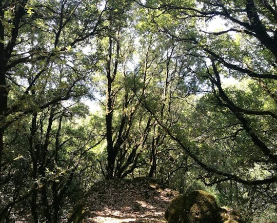 Private group guided trekking in Pantelleria