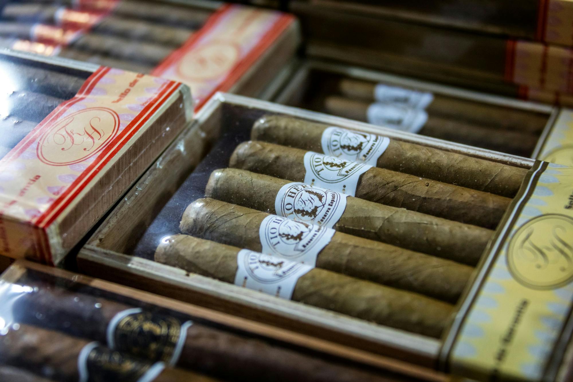 Private half-day safari Eco Caribe