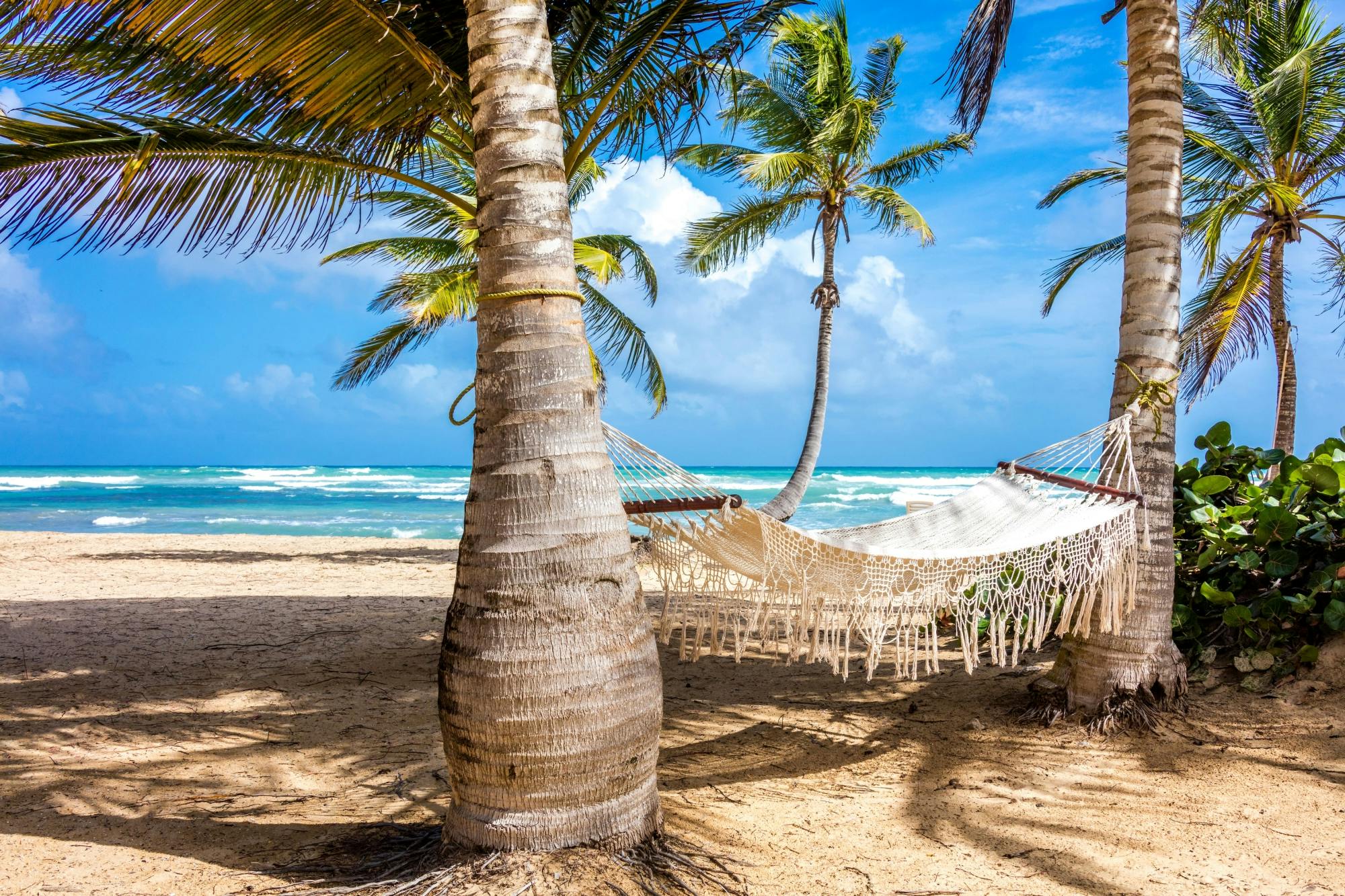 Private half-day safari Eco Caribe