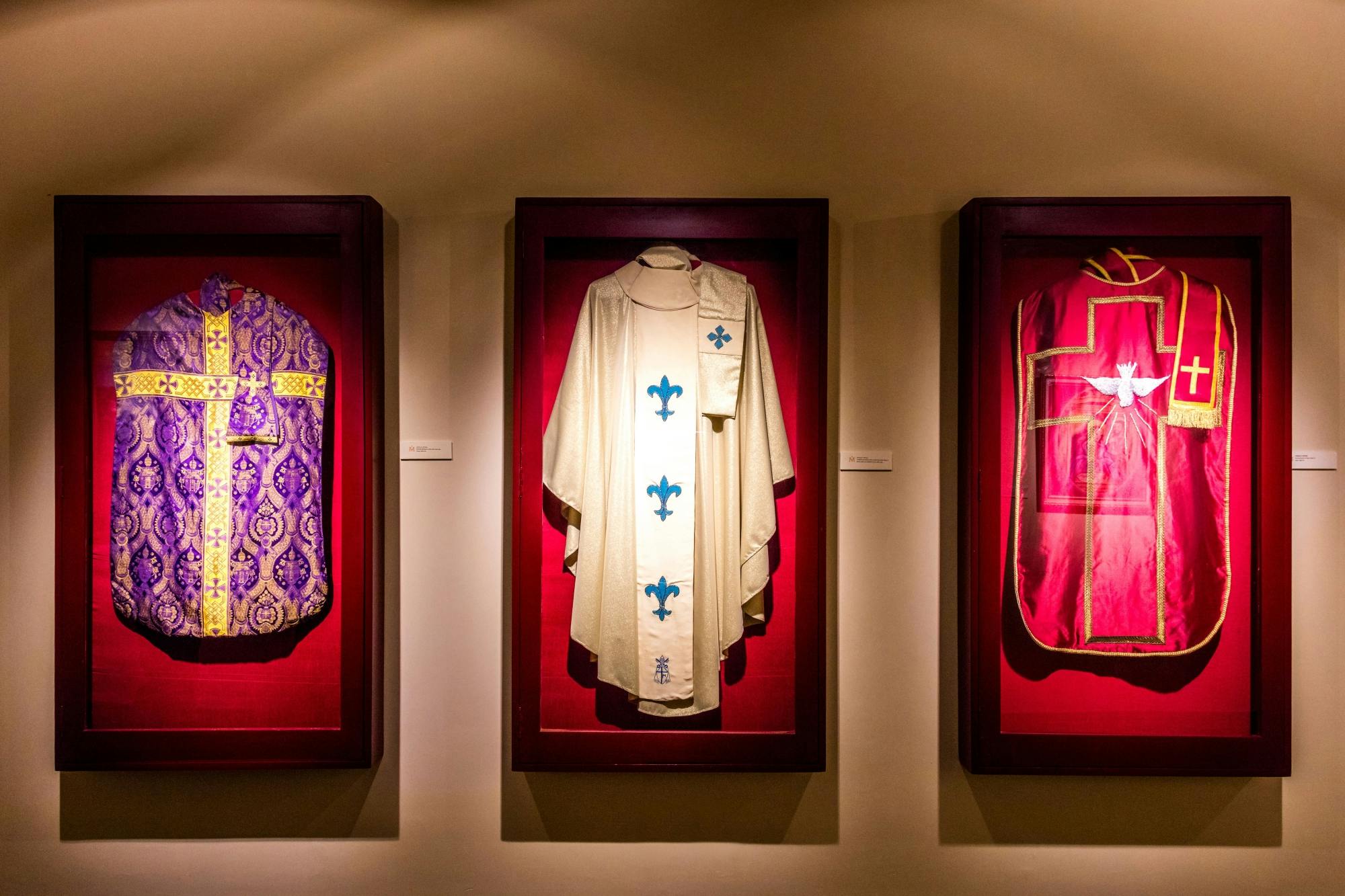 Private half-day safari Eco Caribe