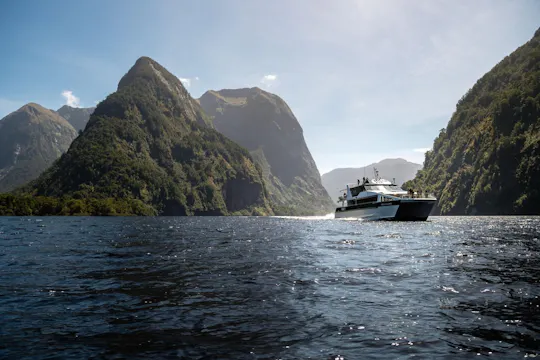 Doubtful Sound wilderness cruise