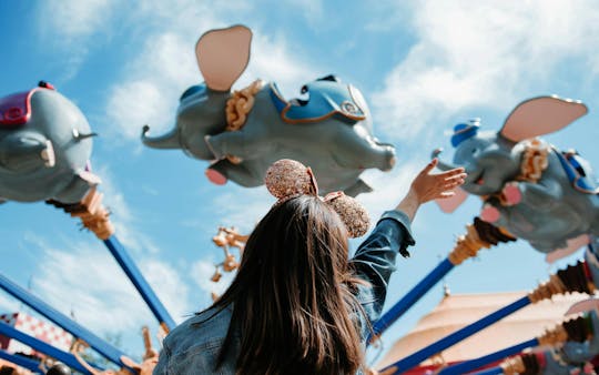 Walt Disney World Resort single-park multi-day tickets