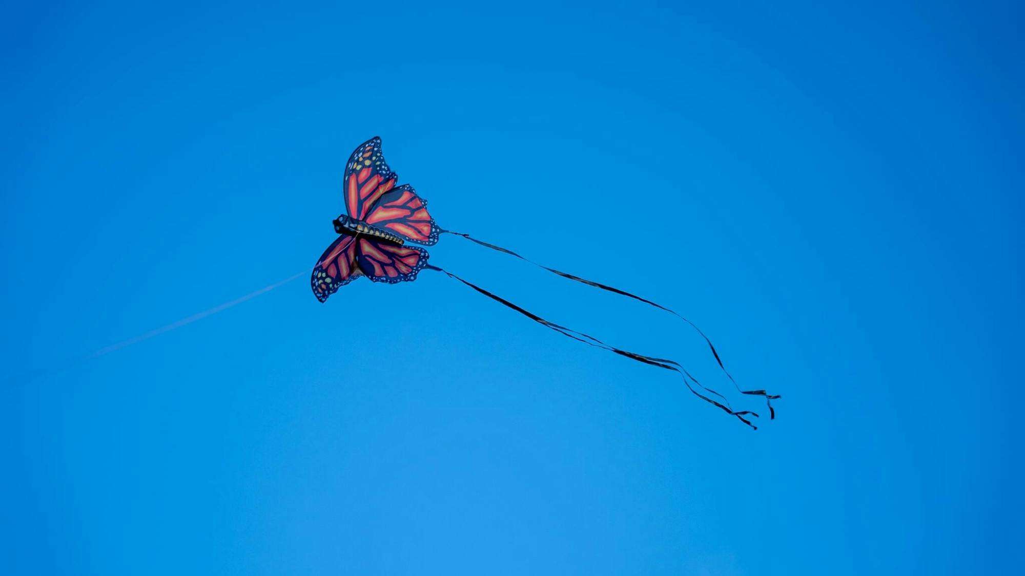 Sunset boat trip on Nichupté Lagoon with live saxophone music