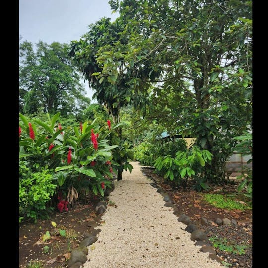 Product image - 