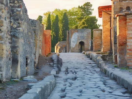 Pompeii and Vesuvius at your pace with bus transfer from Rome