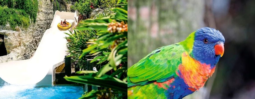 Twin ticket to Loro Parque and Siam Park