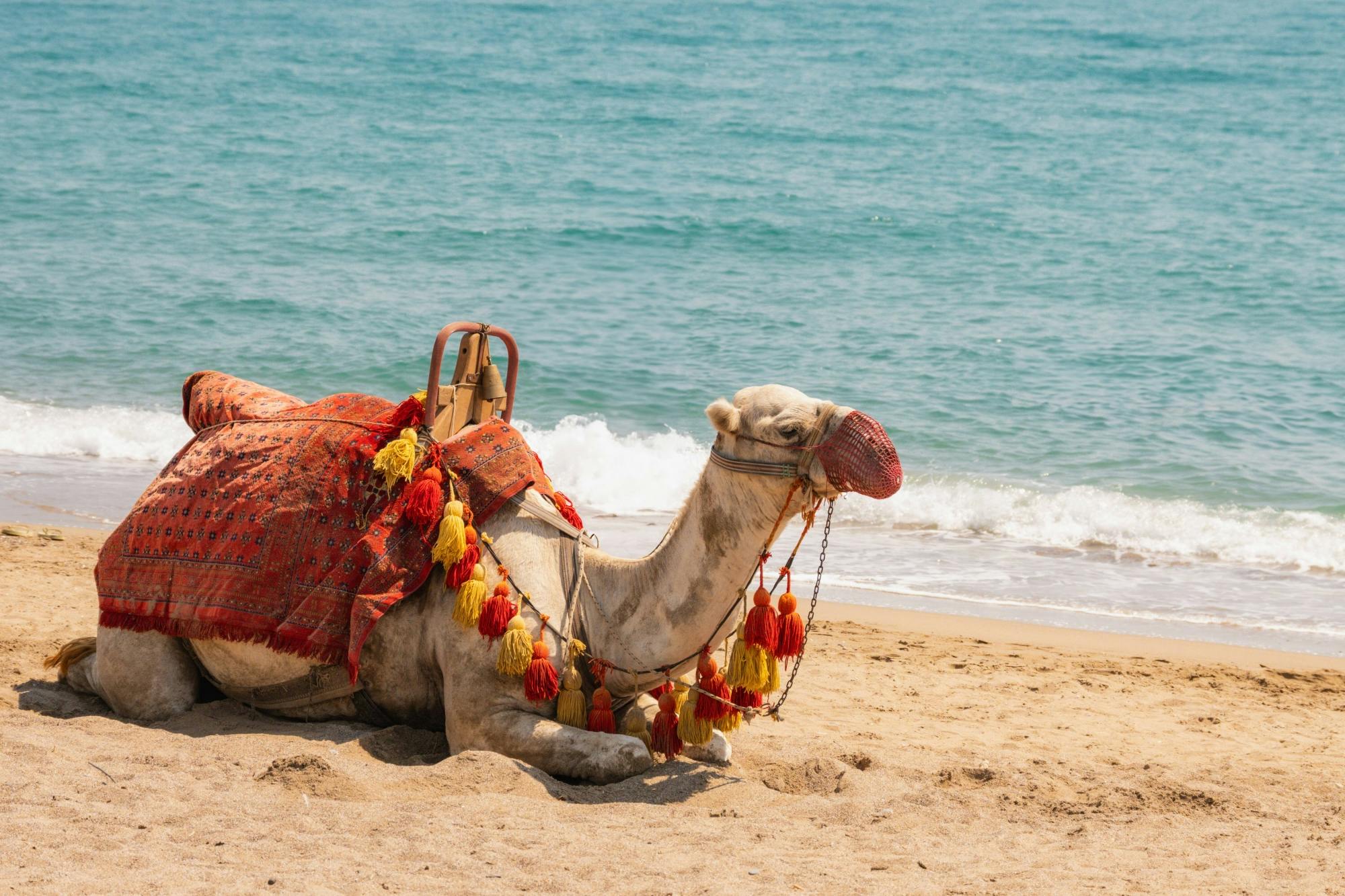 Pirate Boat Cruise from Manavgat